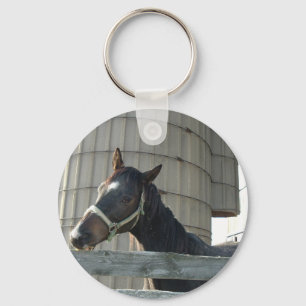 Black Stallion Beauty Keychain