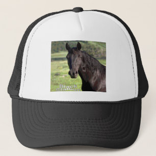 Black-Stallion cap