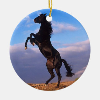 Black Stallion Ceramic Ornament