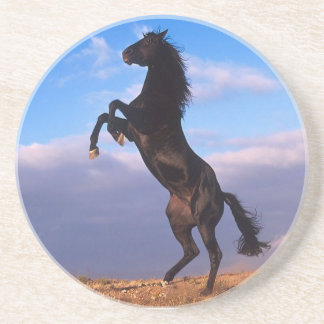 Black Stallion Coaster