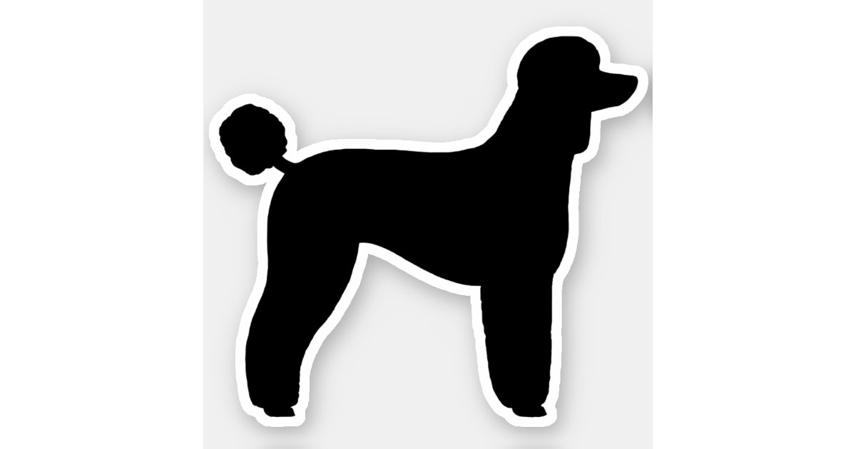 standard poodle lamb clip