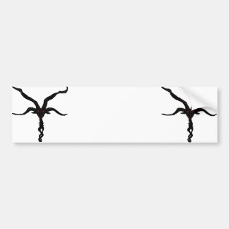 Black Stars bumper sticker