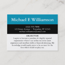 Black Stripe Blue RESUME Business Cards