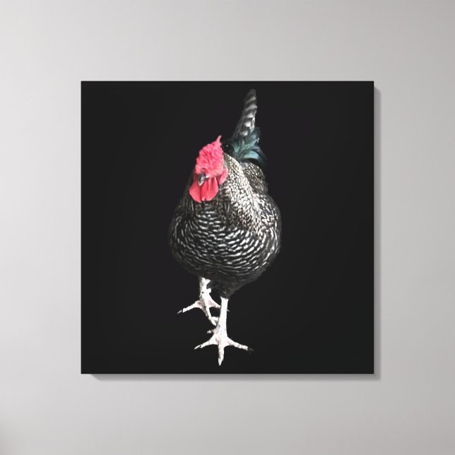Black Strutting Cockerel No 3 Canvas Print (Front)