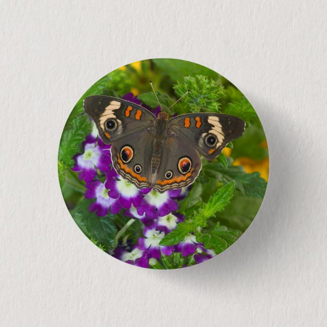Black Swallowtail 1 Inch Round Button (Front)