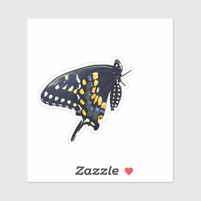 Black Swallowtail Butterfly (Sheet)