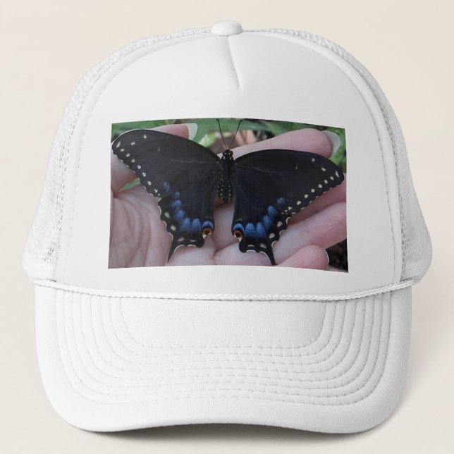 Black Swallowtail Butterfly #1 Hat (Front)