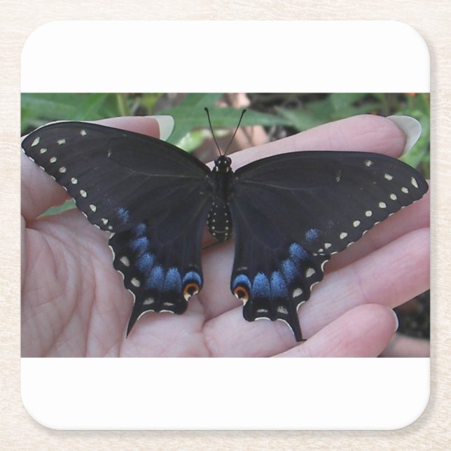 Black Swallowtail Butterfly #1 Square Paper Coaster (Front)