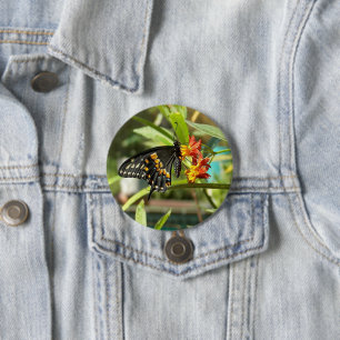 Black Swallowtail Butterfly #2 3 Inch Round Button