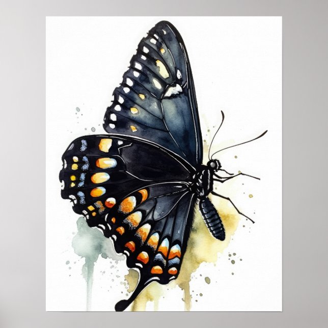 Black Swallowtail Butterfly Art Print Poster (Front)