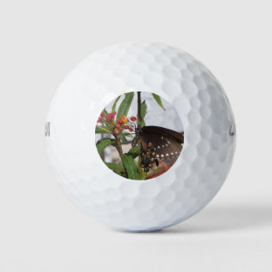Black swallowtail butterfly golf balls