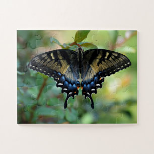 Black Swallowtail butterfly Jigsaw Puzzle