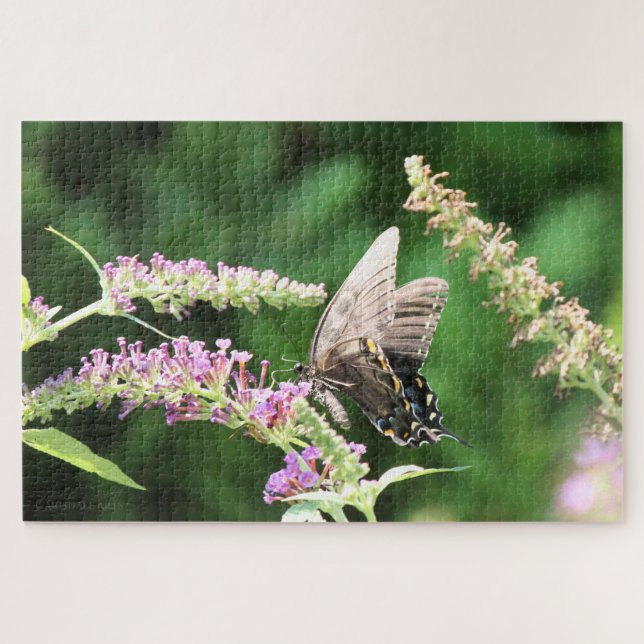 Black Swallowtail butterfly   Jigsaw Puzzle (Horizontal)