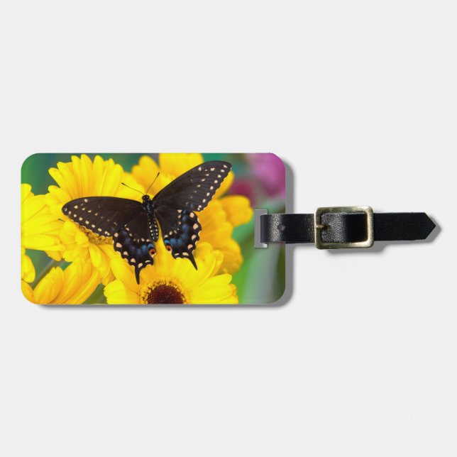 Black Swallowtail butterfly Luggage Tag (Front Horizontal)