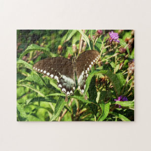 Black Swallowtail Butterfly Nature Photography Jigsaw Puzzle