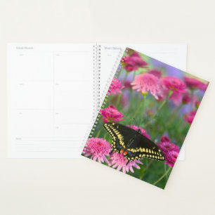 Black Swallowtail Butterfly on Dark Pink Flower Planner