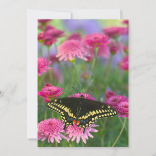 Black Swallowtail Butterfly on Dark Pink Flower Thank You Card