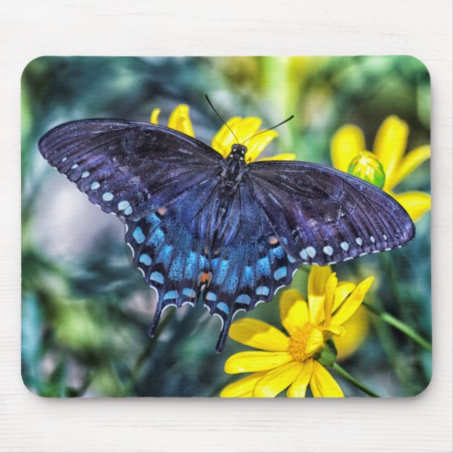 Black Swallowtail butterfly on yellow flowers Mouse Pad (Front)