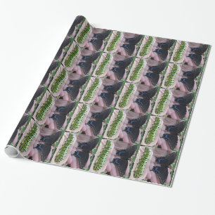 Black Swallowtail Cat/Butterfly-wrapping paper