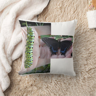 Black Swallowtail Caterpillar/Butterfly Throw Pillow