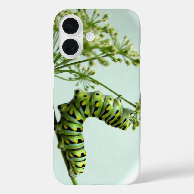 Black Swallowtail Caterpillar eating parsley Case- Case-Mate iPhone Case (Back)