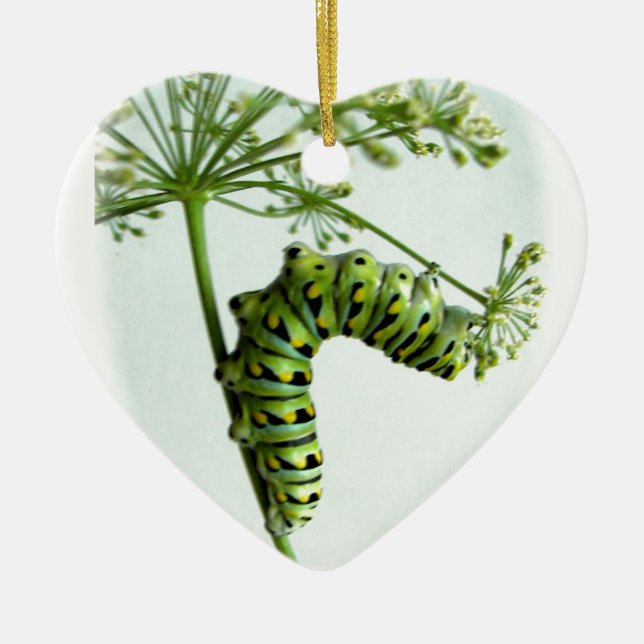 Black Swallowtail Caterpillar eating parsley Ceramic Ornament (Front)