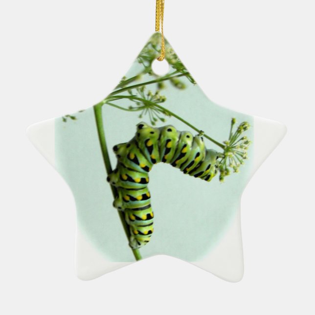Black Swallowtail Caterpillar eating parsley Ceramic Ornament (Back)