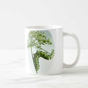 Black Swallowtail Caterpillar eating parsley Coffee Mug