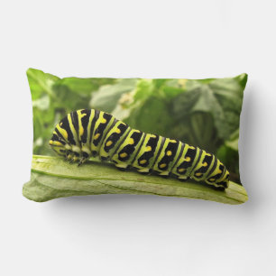 Black Swallowtail Caterpillar Lumbar Pillow