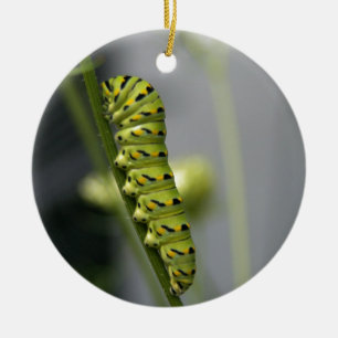 Black swallowtail caterpillar (parsleyworm) on Dil Ceramic Ornament