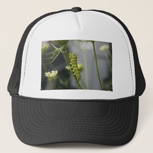 Black swallowtail caterpillar (parsleyworm) on Dil Trucker Hat (Front)