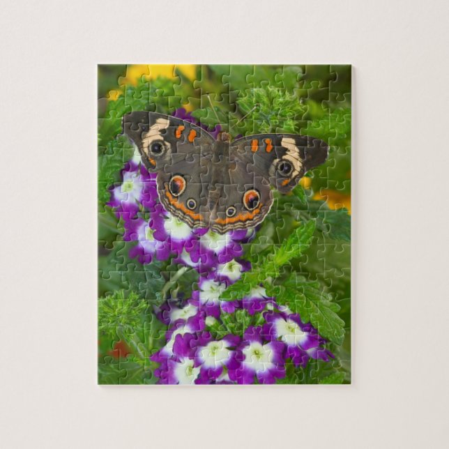 Black Swallowtail Jigsaw Puzzle (Vertical)