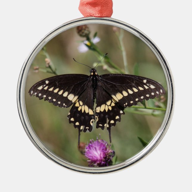Black Swallowtail Metal Ornament (Front)