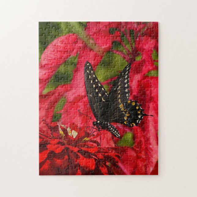 Black swallowtail on red flower puzzle (Vertical)