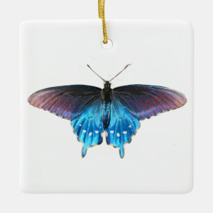 Black Swallowtail on the New River Beach Ceramic Ornament