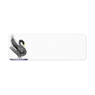 Black Swan 