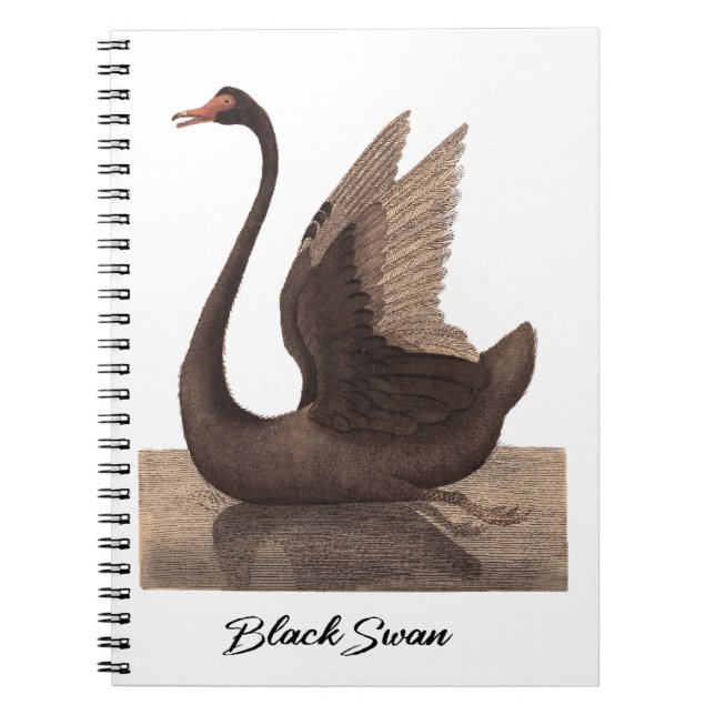 Black Swan 1792 Notebook (Front)
