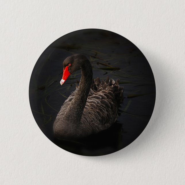 Black Swan 2 Inch Round Button (Front)