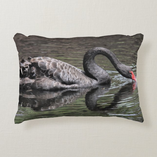 Black Swan Accent Pillow (Front)