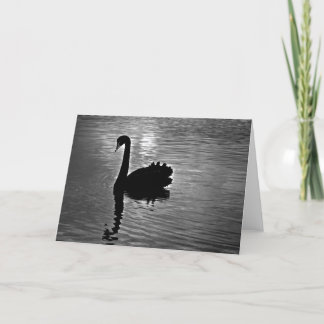 Black Swan - Australian Native Animal Card