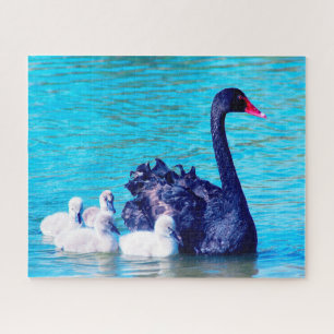 Black Swan avec ses bébés, Jigsaw Puzzle