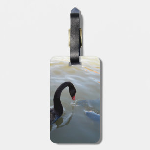 Black Swan Being Attacked By Fish, Luggage Tag