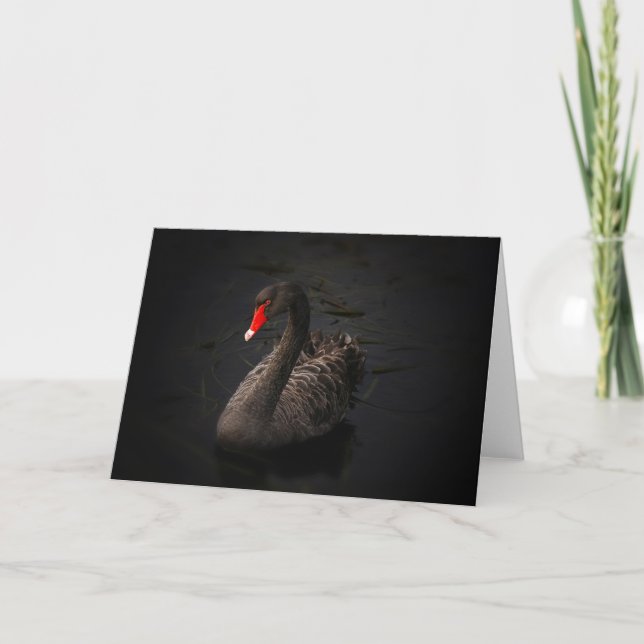 Black swan card (Front)