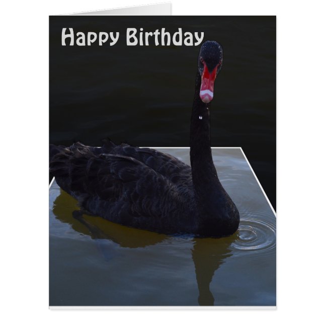 Black Swan Droplets In Pond, Jumbo Birthday Card (Front)
