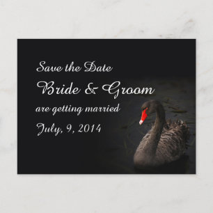 Black Swan Enregistrer la carte postale Date
