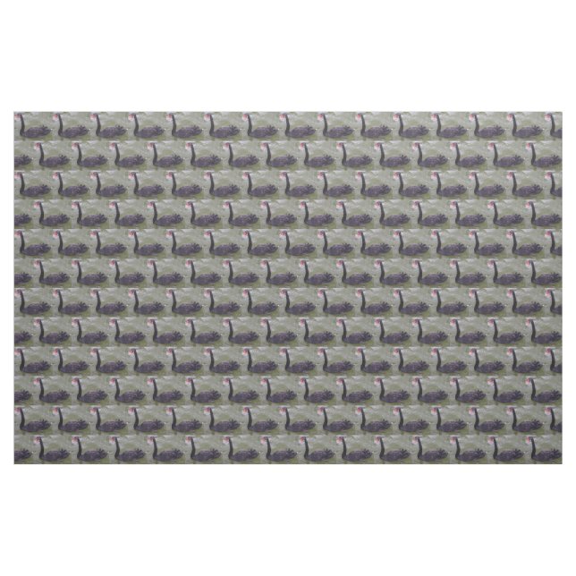 Black Swan Fabric (Yard)