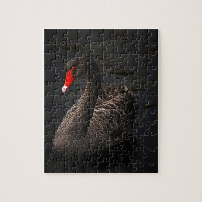 Black swan jigsaw puzzle (Vertical)
