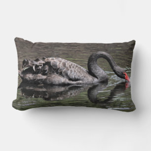 Black Swan Lumbar Pillow