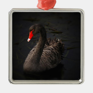 Black Swan Metal Ornament