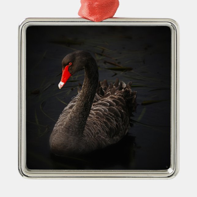 Black Swan Metal Ornament (Front)